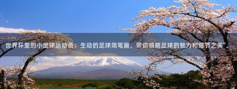 2026年世界杯赛程表时间:世界杯里的小足球运动员:生动的足球简笔画,带你领略足球的魅力和细节之美\