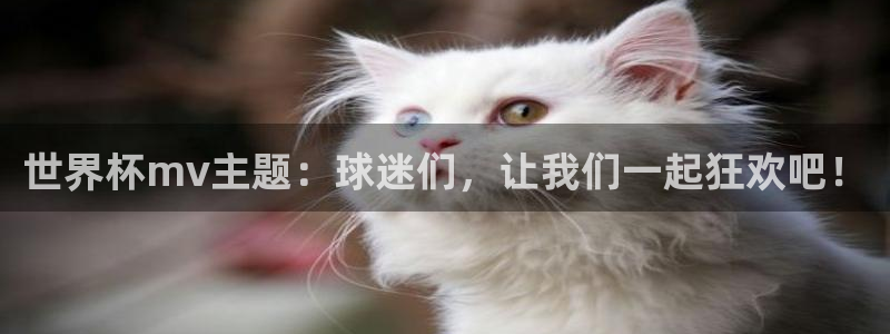 世界杯赛程表2026:世界杯mv主题:球迷们,让我们一起狂欢吧!