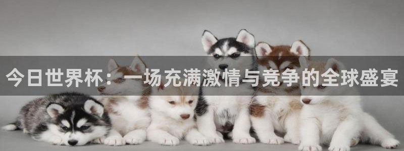 2026世界杯日期:今日世界杯:一场充满激情与竞争的全球盛宴