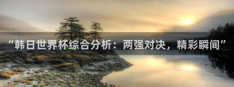 2026足球世界杯:“韩日世界杯综合分析:两强对决,精彩瞬间”