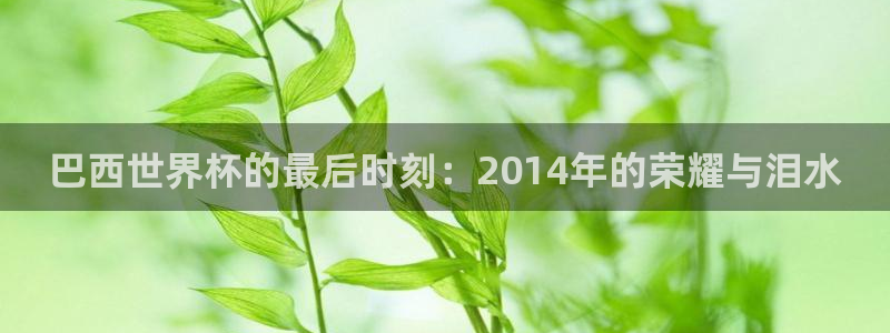 法国杯2026赛程表:巴西世界杯的最后时刻:2014年的荣耀与泪水