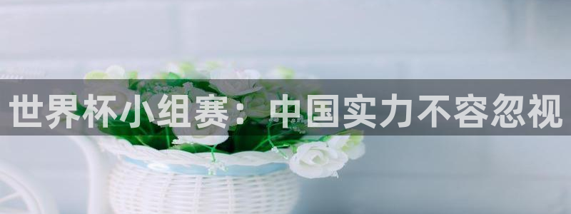 葡萄牙世界杯赛程:世界杯小组赛:中国实力不容忽视