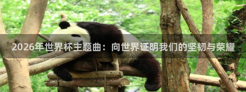 2026世界杯赛程时间表最新:2026年世界杯主题曲:向世界证明我们的坚韧与荣耀